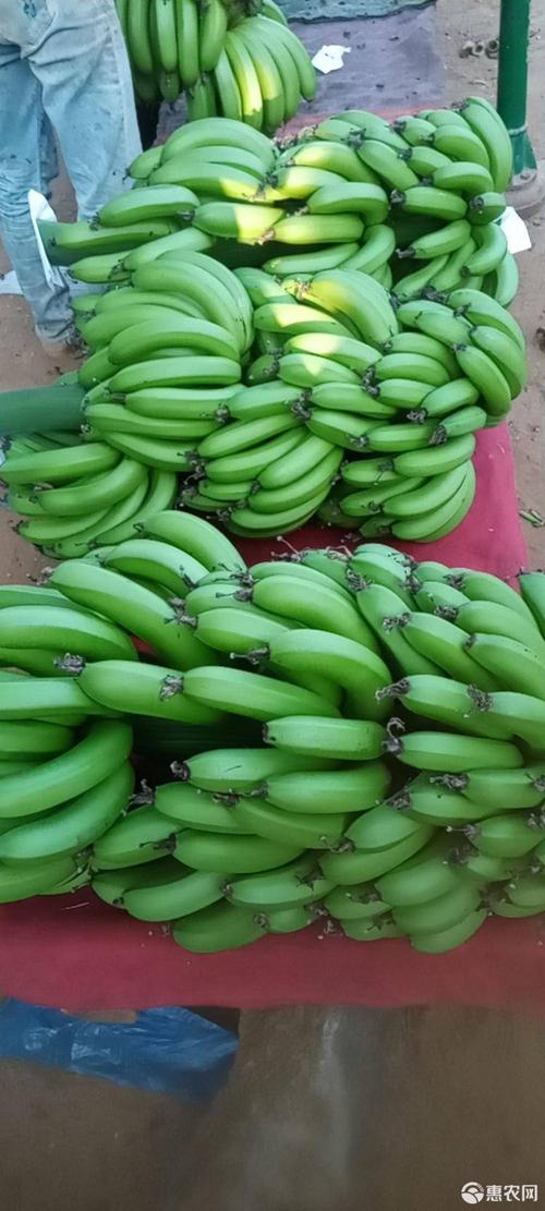 拉萨批发香蕉价格是多少(拉萨批发香蕉价格是多少钱一斤)
