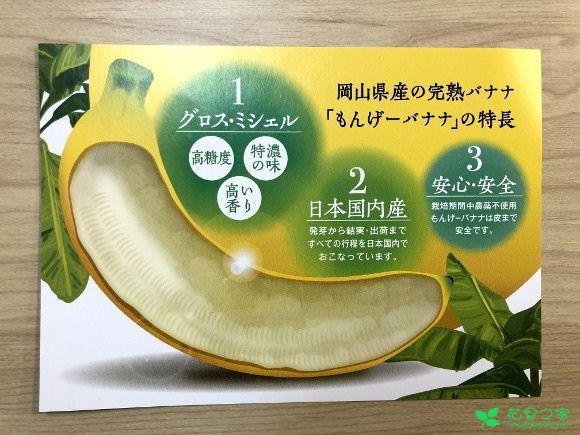 日本香蕉外皮多少钱(日本香蕉外皮多少钱一个)